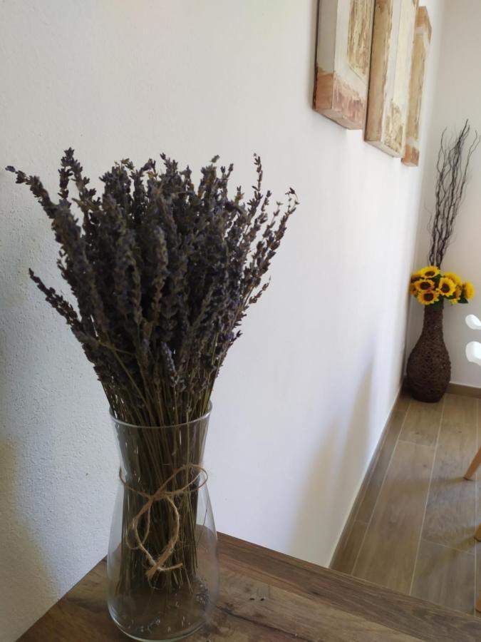 Apartamentos Xert Escapadas En Castellon Cerca De Morella Y Peniscola Chert Sant Mateu Esterno foto
